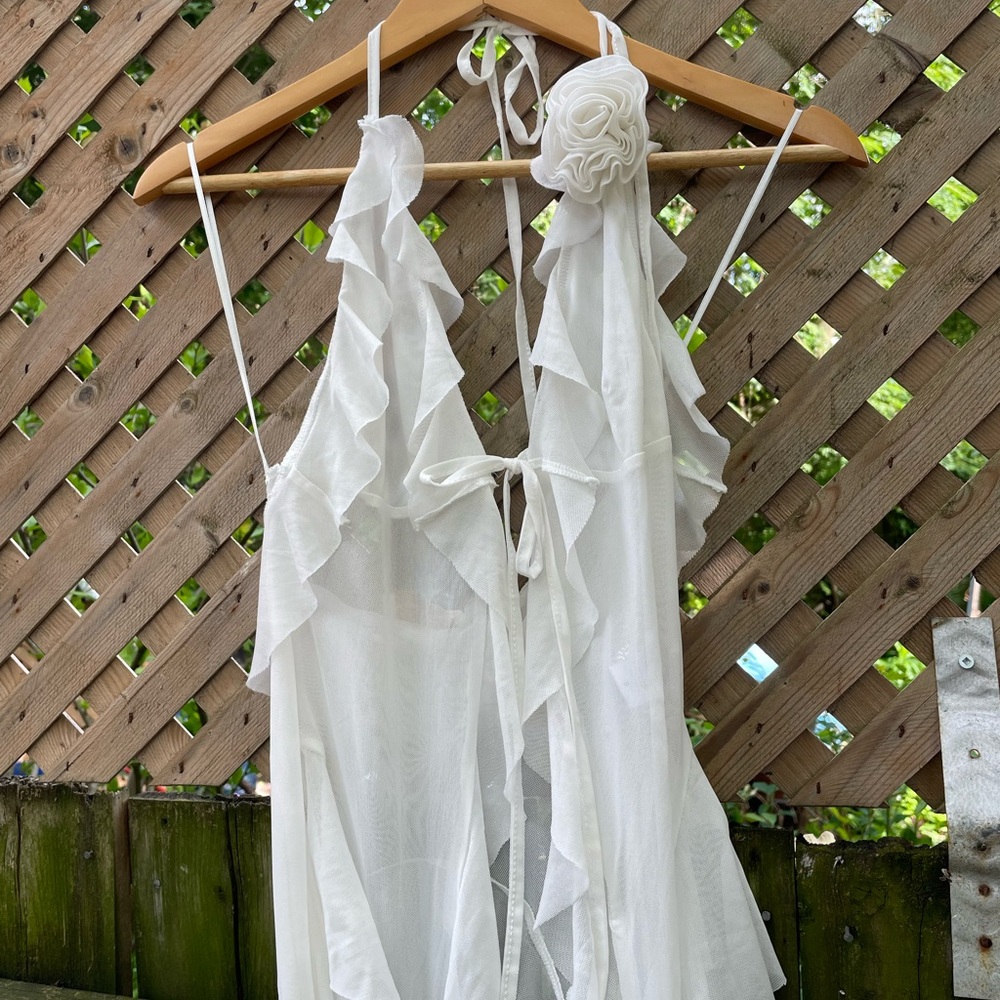 Beige Botany White Sheer Halter Top